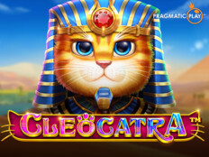 Gaminator casino slot makinesi71